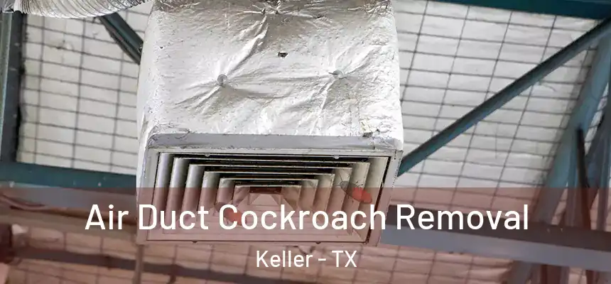  Air Duct Cockroach Removal Keller - TX