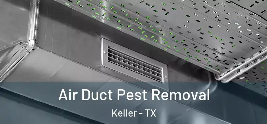  Air Duct Pest Removal Keller - TX
