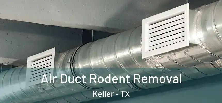  Air Duct Rodent Removal Keller - TX