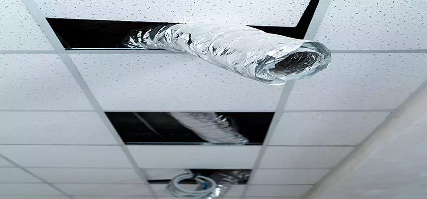 Affordable HVAC Sanitizing After Pest Removal in Keller