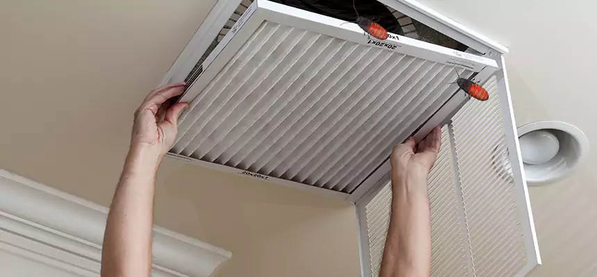 Our Insect Removal from Air Ducts Services in Keller, TX