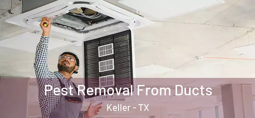 Pest Removal From Ducts Keller - TX