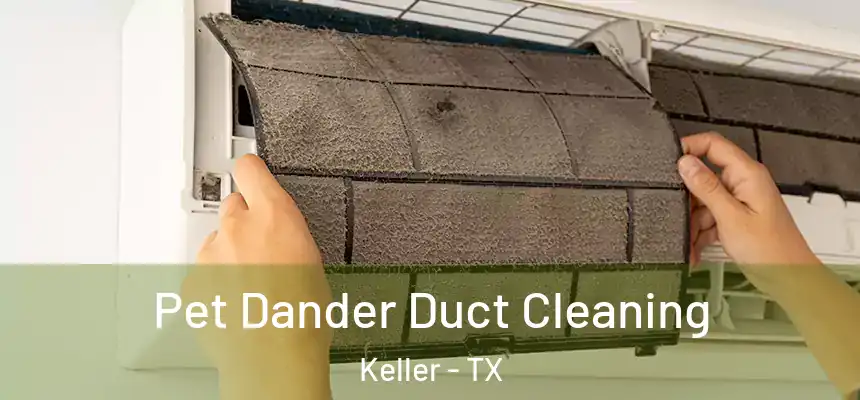 Pet Dander Duct Cleaning Keller - TX