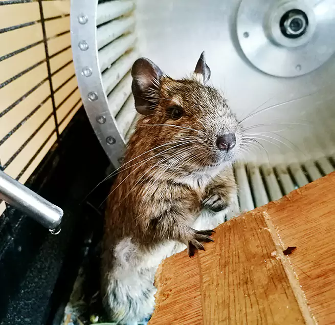 Why Homeowners & Businesses Trust Us Keller, TX