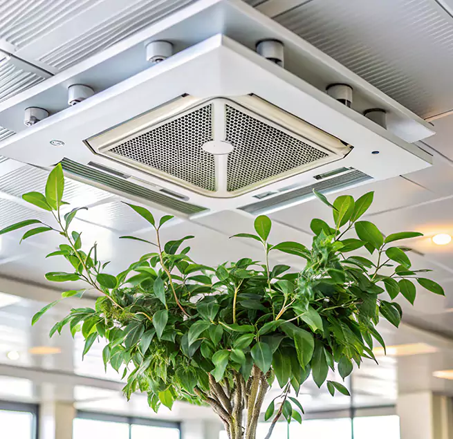 Why Homeowners & Businesses Trust Us in Keller, TX?